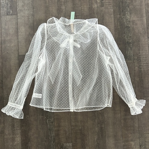 NWT Anthropologie Dolan Sheer Top, size 3x - Picture 2 of 11